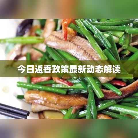 今日返香政策最新动态解读