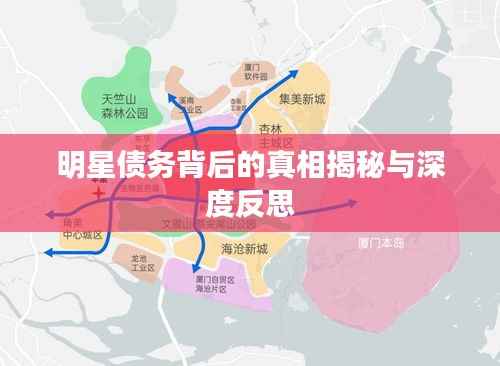 明星债务背后的真相揭秘与深度反思