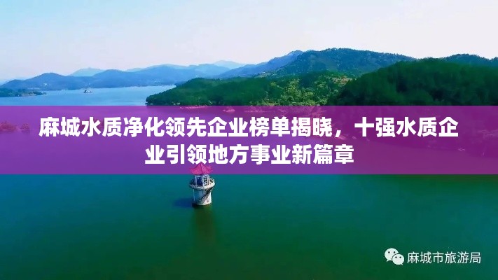 麻城水质净化领先企业榜单揭晓,十强水质企业引领地方事业新篇章