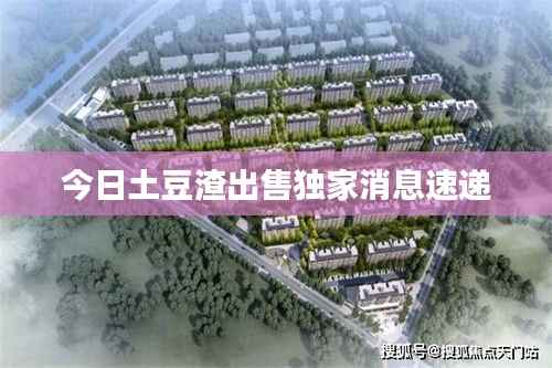 今日土豆渣出售独家消息速递
