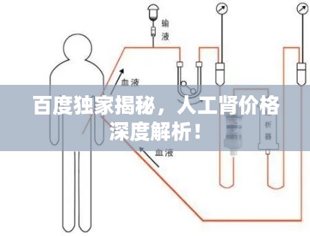 百度独家揭秘,人工肾价格深度解析!