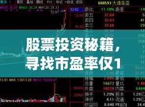 股票投资秘籍,寻找市盈率仅10的宝藏股!