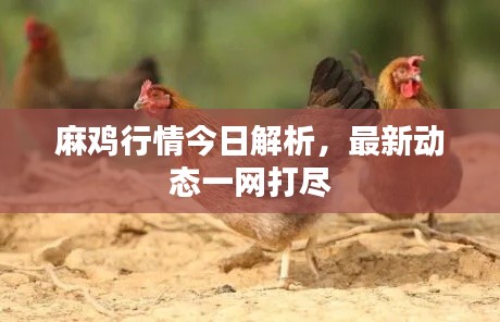 不飞则已 第2页