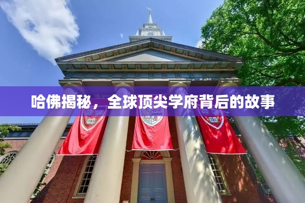 哈佛揭秘,全球顶尖学府背后的故事