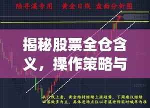揭秘股票全仓含义,操作策略与风险解析