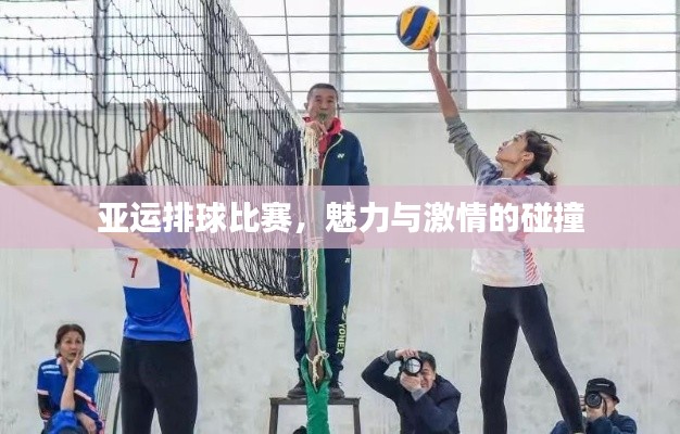 亚运排球比赛,魅力与激情的碰撞