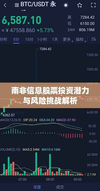 南非信息股票投资潜力与风险挑战解析