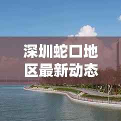 深圳蛇口地区最新动态,新闻头条抢先看