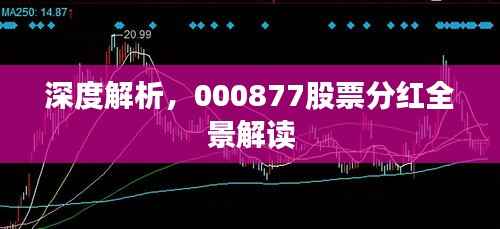 深度解析,000877股票分红全景解读
