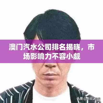 澳门汽水公司排名揭晓,市场影响力不容小觑