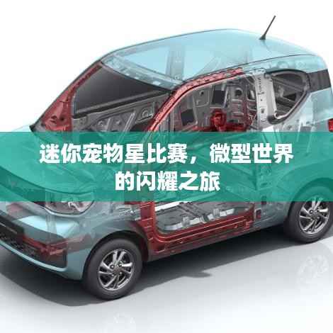 迷你宠物星比赛,微型世界的闪耀之旅