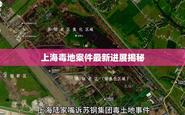 上海毒地案件最新进展揭秘
