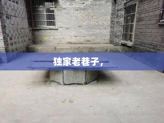 独家老巷子,