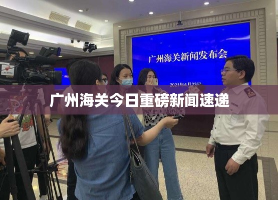 广州海关今日重磅新闻速递