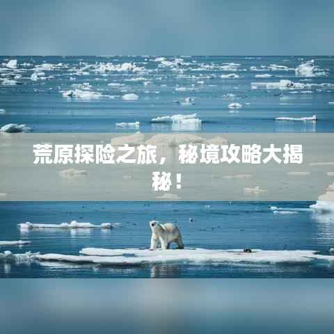 荒原探险之旅,秘境攻略大揭秘!