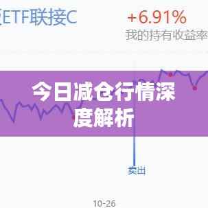 今日减仓行情深度解析