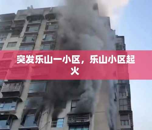 突发乐山一小区,乐山小区起火