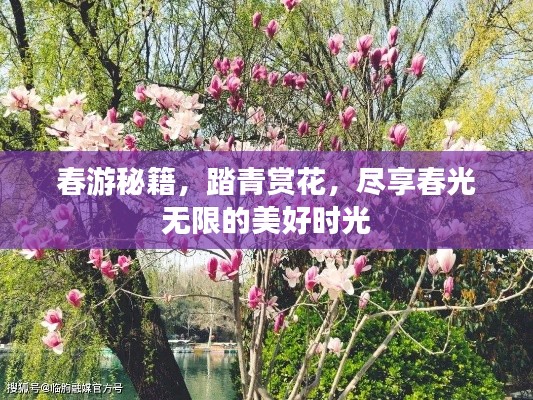 春游秘籍,踏青赏花,尽享春光无限的美好时光