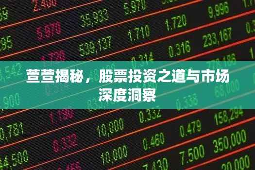 萱萱揭秘,股票投资之道与市场深度洞察