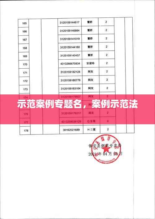 示范案例专题名,案例示范法