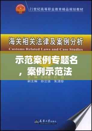 示范案例专题名,案例示范法