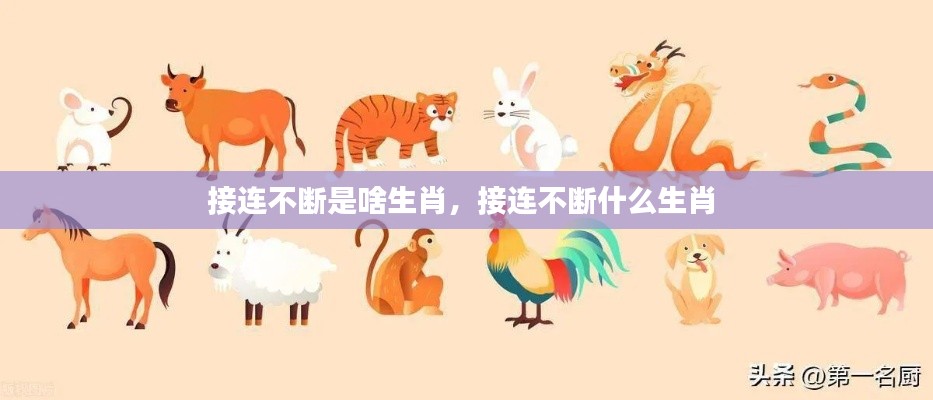 接连不断是啥生肖,接连不断什么生肖