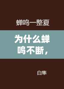 郑重其事 第2页