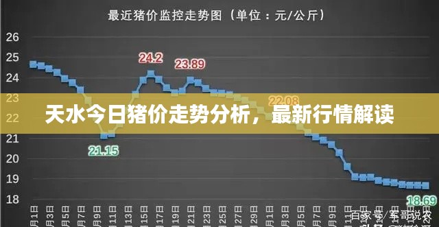 天水今日猪价走势分析,最新行情解读