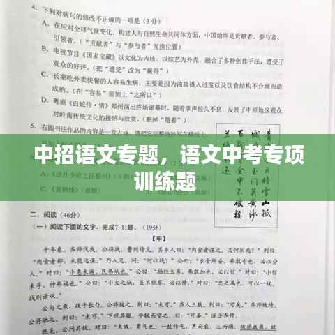 中招语文专题,语文中考专项训练题