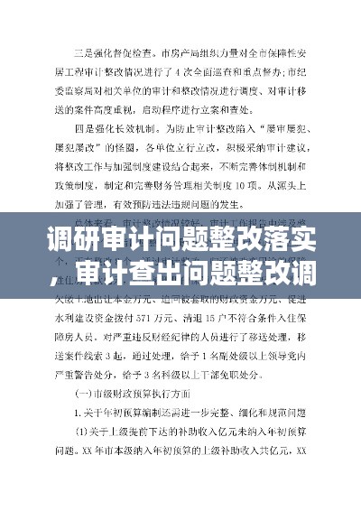 调研审计问题整改落实,审计查出问题整改调研报告