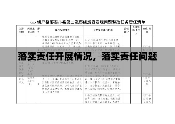 落实责任开展情况,落实责任问题