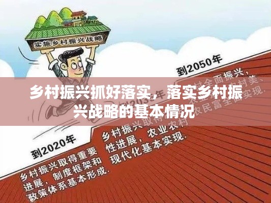 乡村振兴抓好落实,落实乡村振兴战略的基本情况