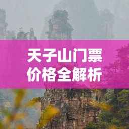 天子山门票价格全解析