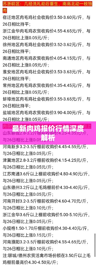 最新肉鸡报价行情深度解析