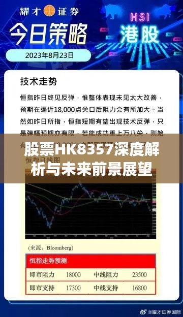 股票HK8357深度解析与未来前景展望