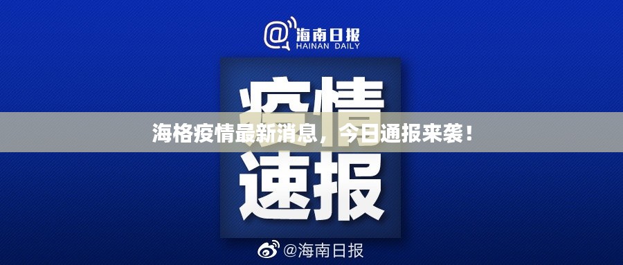 海格疫情最新消息,今日通报来袭!