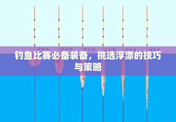 钓鱼比赛必备装备,挑选浮漂的技巧与策略