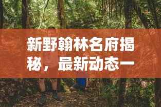 新野翰林名府揭秘,最新动态一网打尽