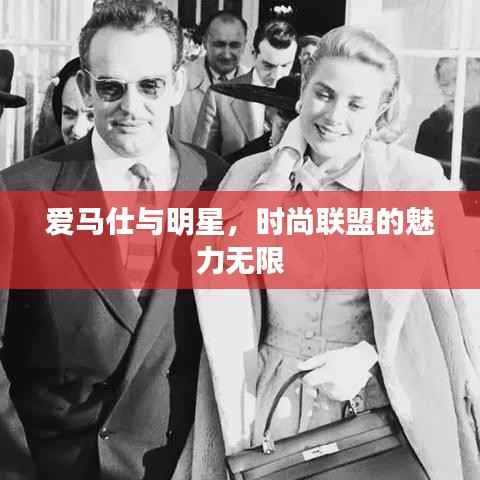 爱马仕与明星,时尚联盟的魅力无限