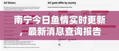 南宁今日鱼情实时更新,最新消息查询报告