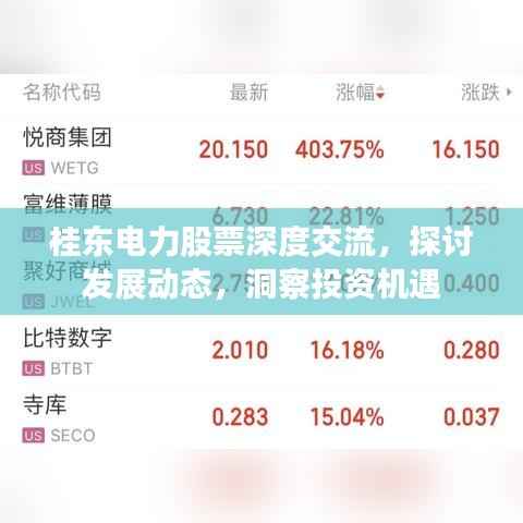 桂东电力股票深度交流,探讨发展动态,洞察投资机遇