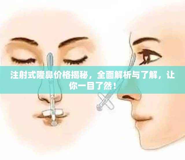 注射式隆鼻价格揭秘,全面解析与了解,让你一目了然!