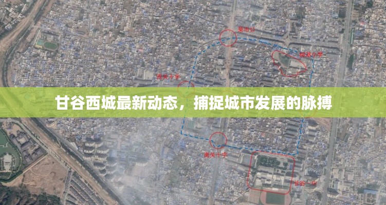 甘谷西城最新动态,捕捉城市发展的脉搏