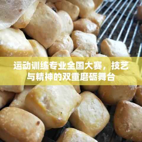 运动训练专业全国大赛,技艺与精神的双重磨砺舞台